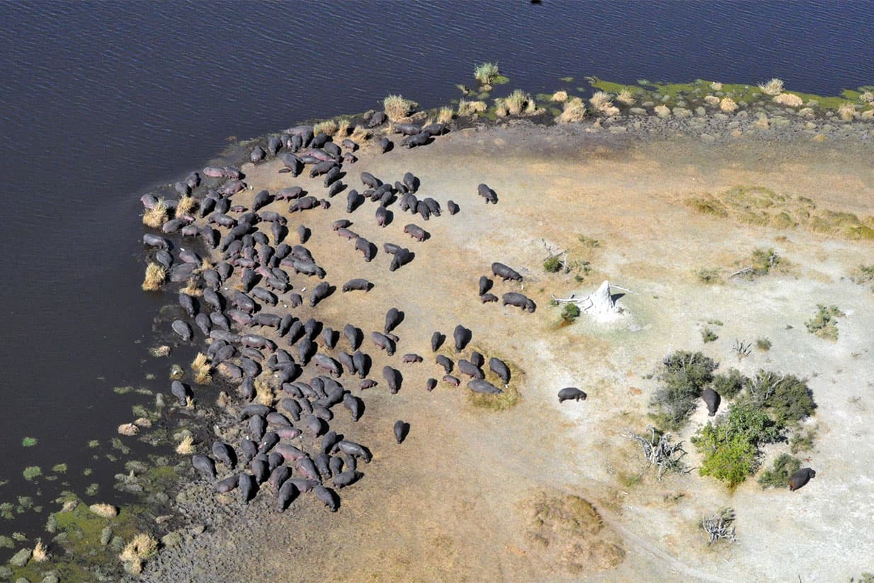 Chobe River from the sky