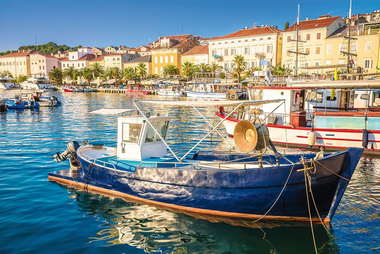 A walk on the wild side