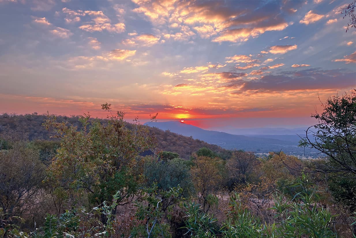 Trail big game at dawn and dusk