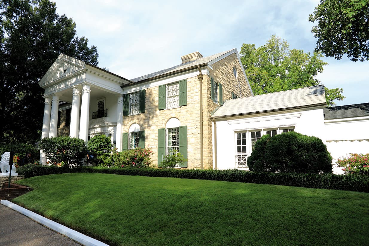 It's all about Elvis - The King