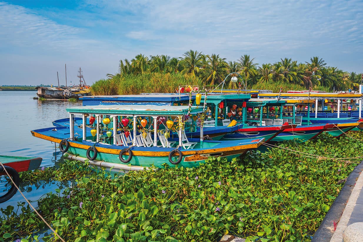 Hoi An's picturesque outskirts